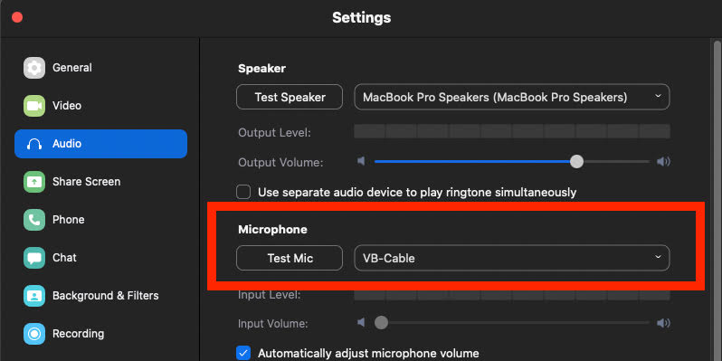 Zoom Audio Settings